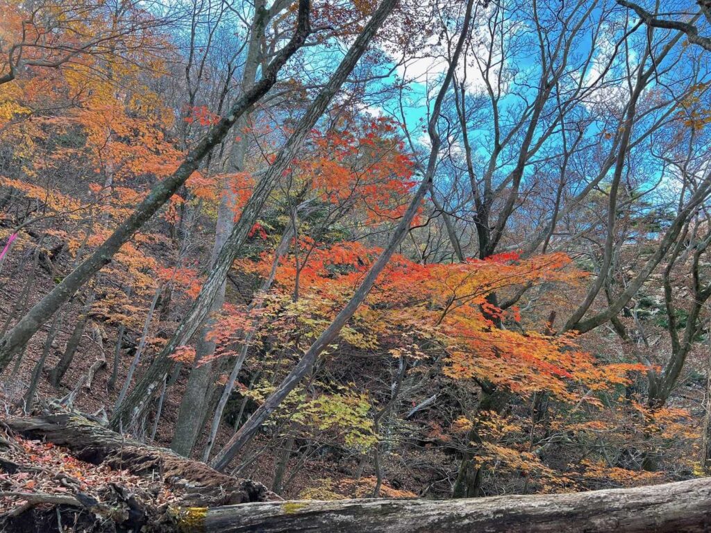 国観峠付近の展望