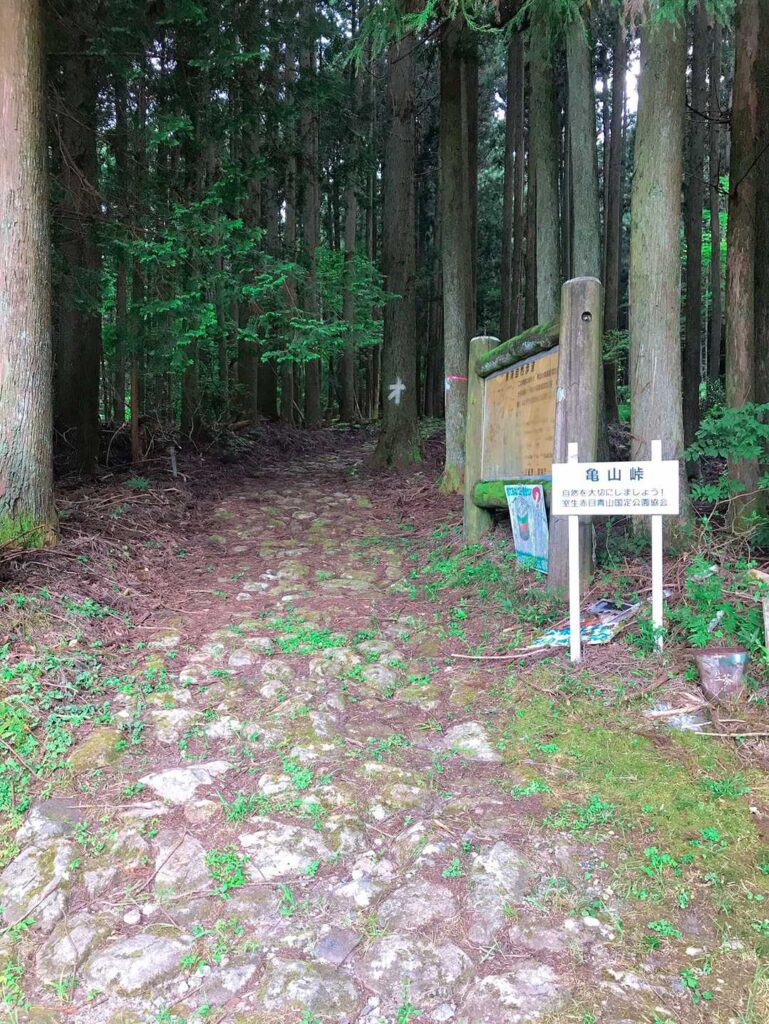 また 山道に入ります