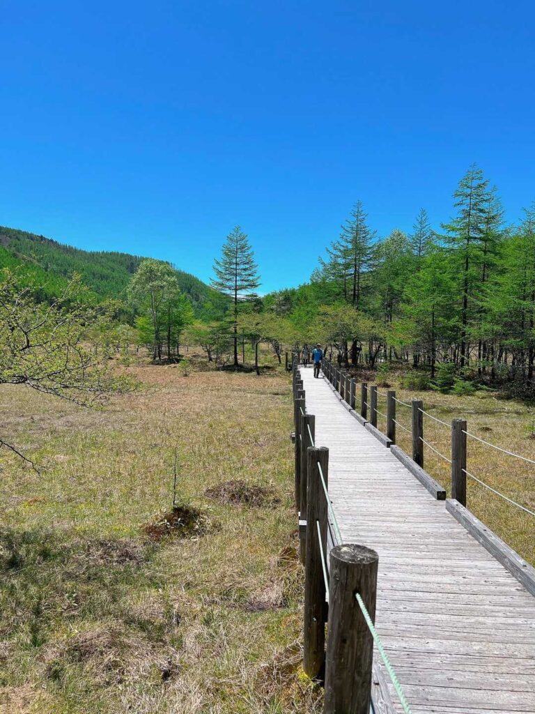 大阿原湿原だよ