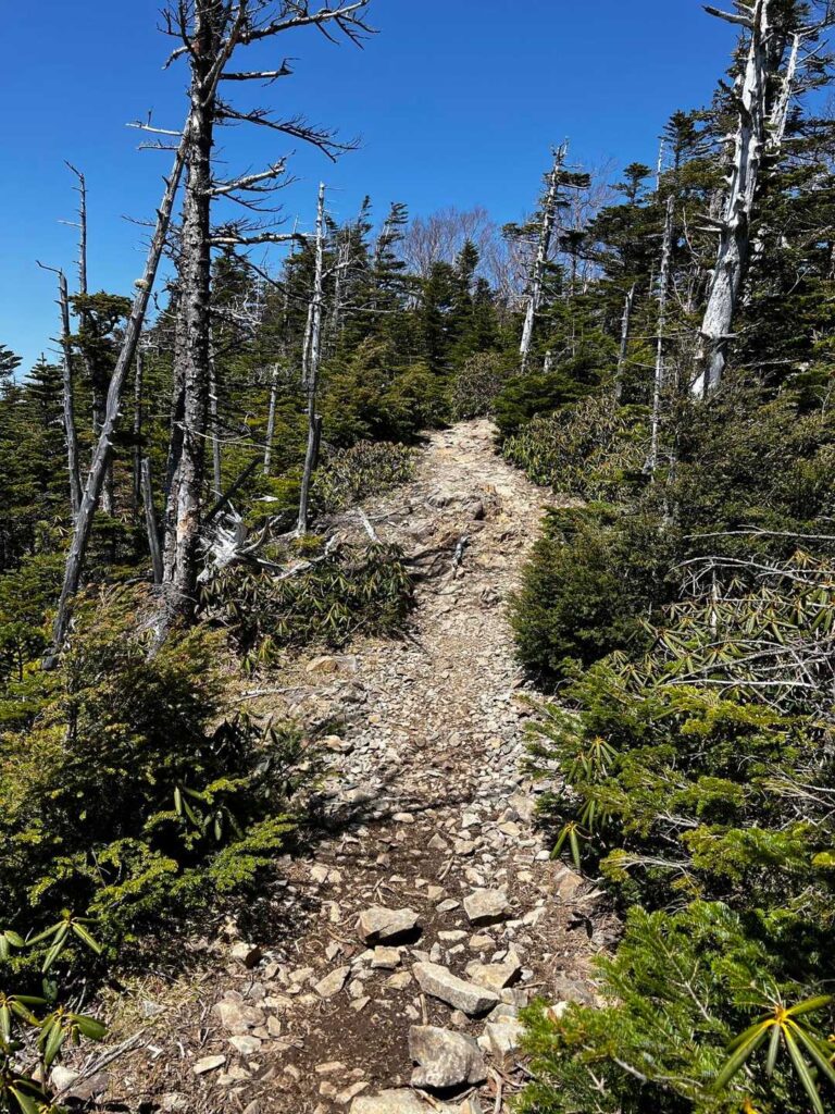 下山路の登り返し