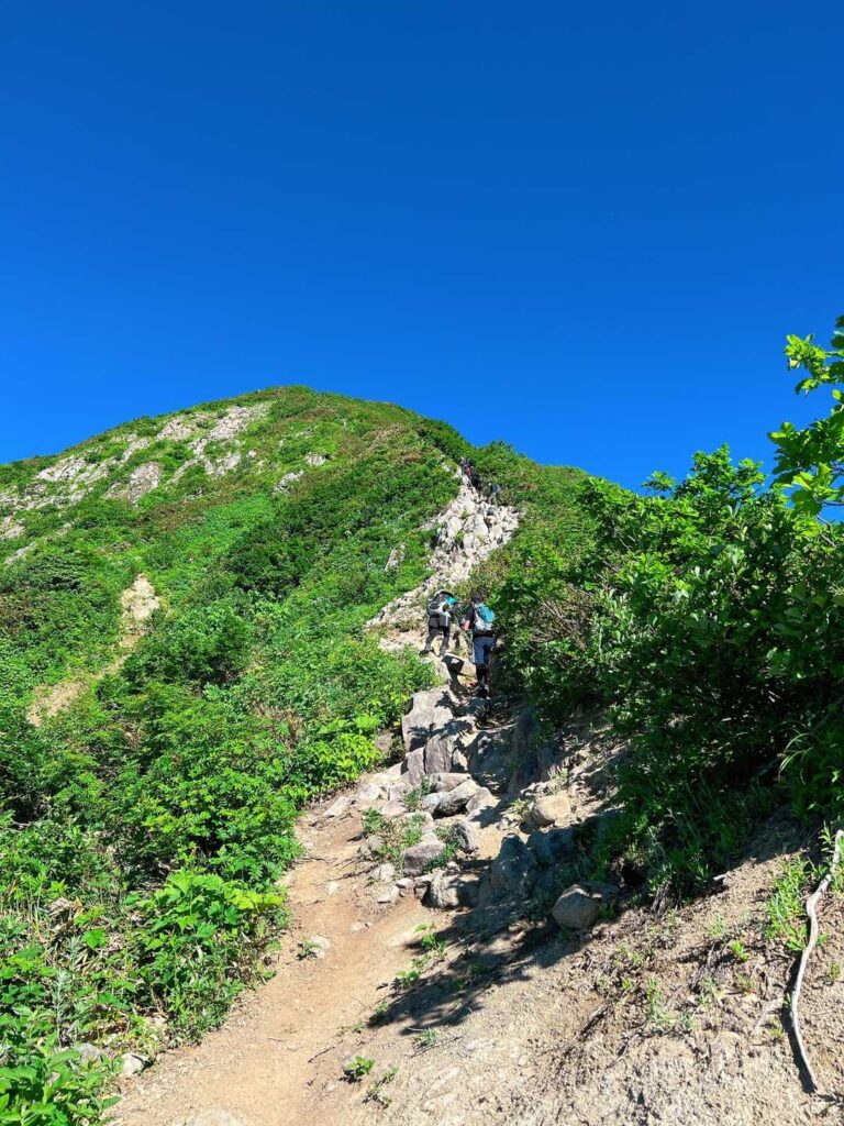 遮るものがない稜線