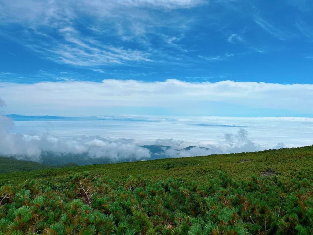 羅臼平から見た雲海