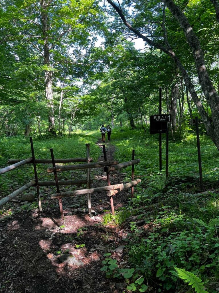 やっと牧場に出た