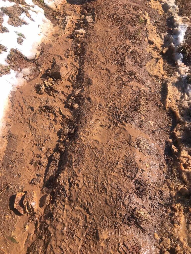 泥だらけの登山道