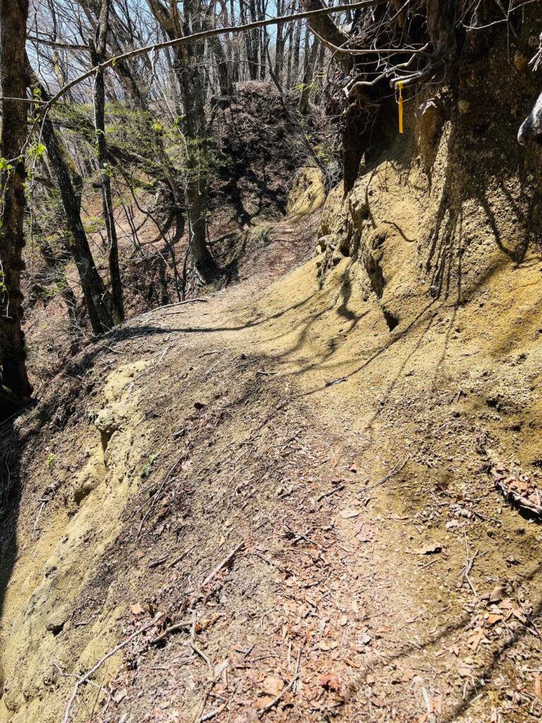 下山路