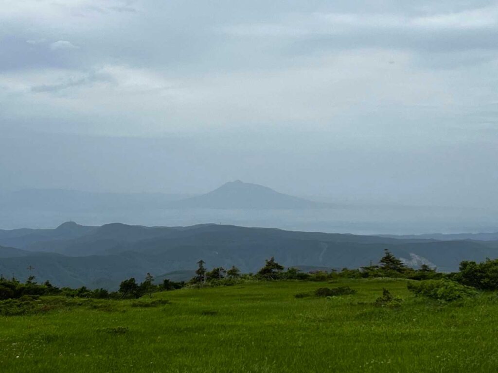 幻想的な湿原の風景