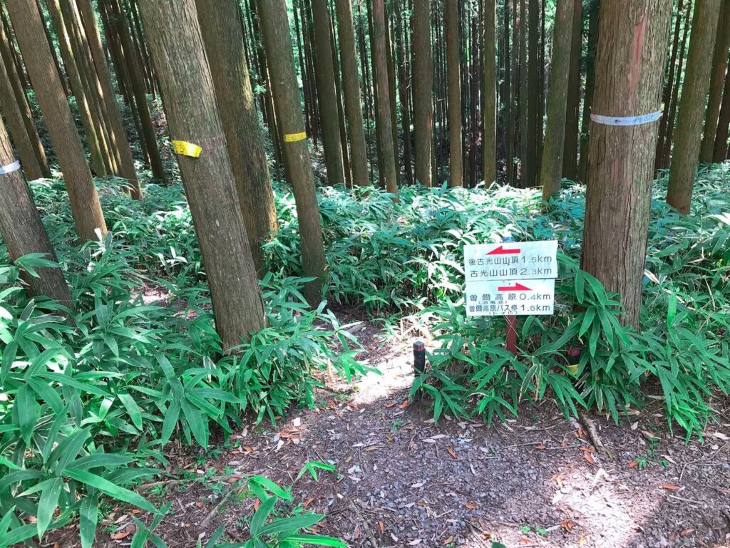 杉林の中の注意看板