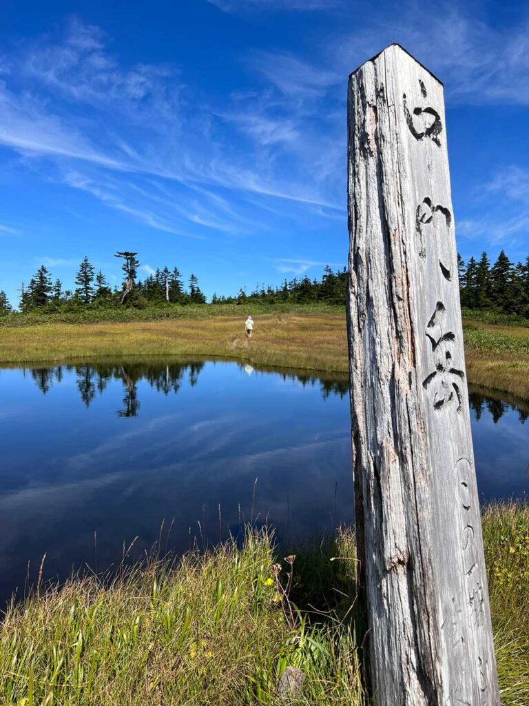 中門岳付近の湿原
