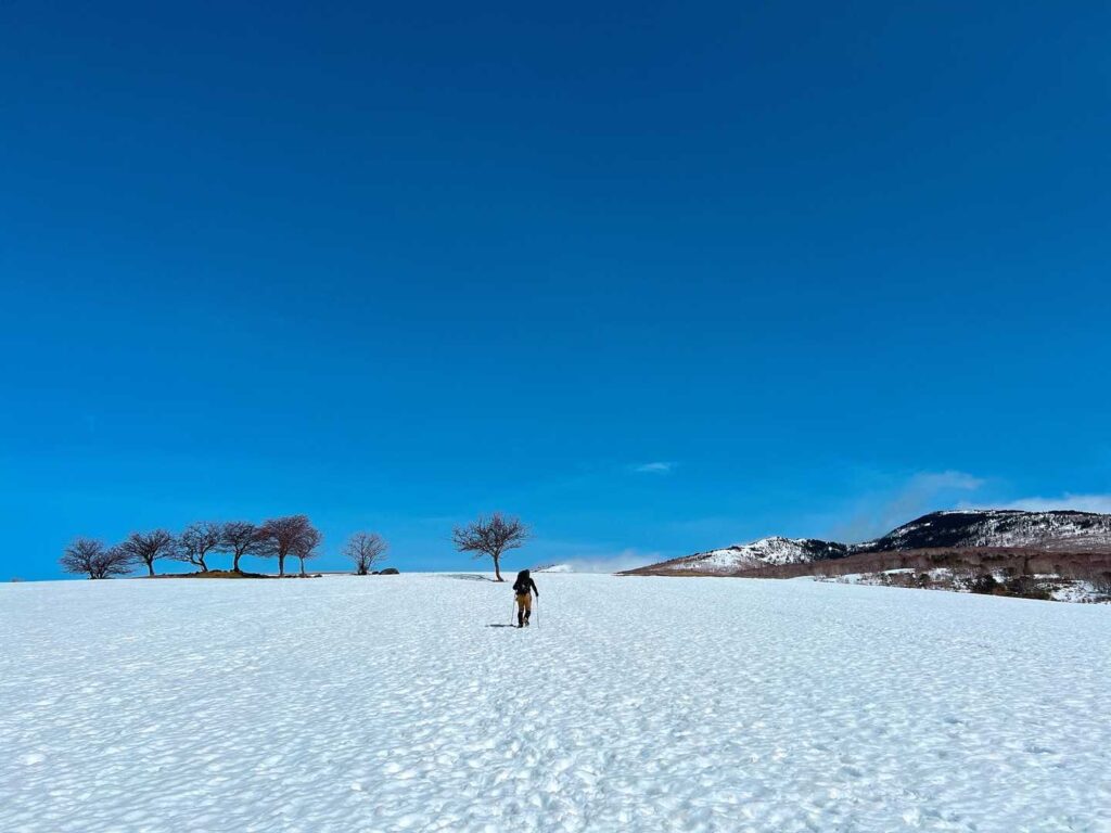 牧場跡の広大な雪原と青空