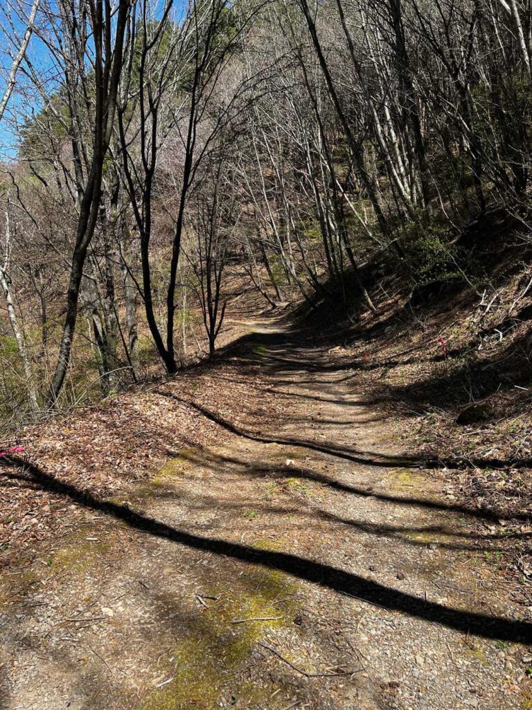 そこから 少し下ると