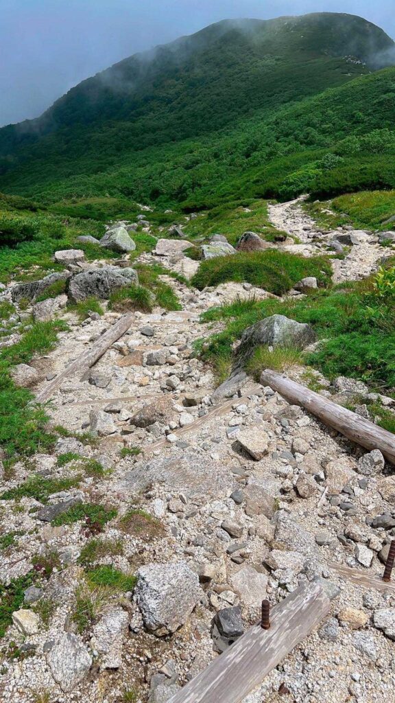 雷鳥を探しながらの下山路