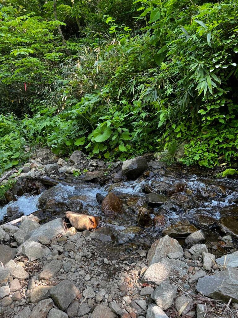 何度も沢を渡る