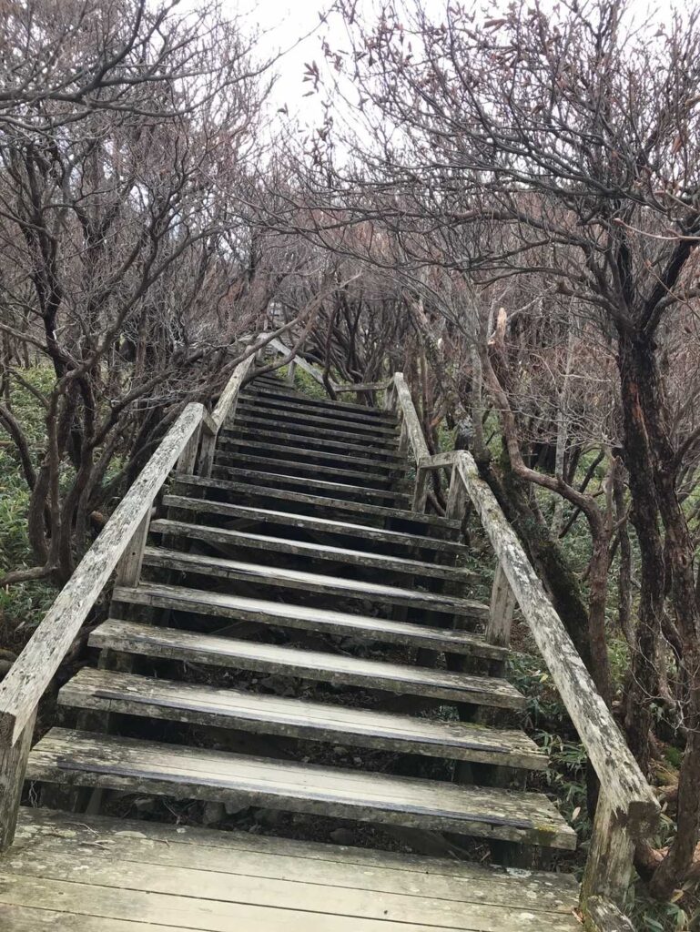 階段を登って次のエリアへ