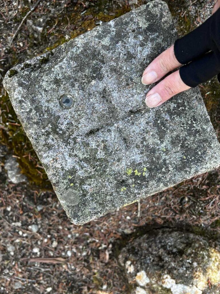 三宝山の三角点