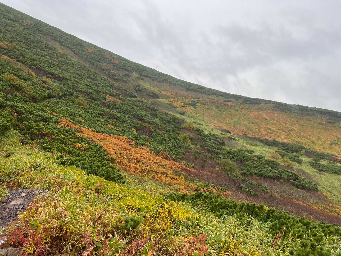秋の色合いに🍁🍂