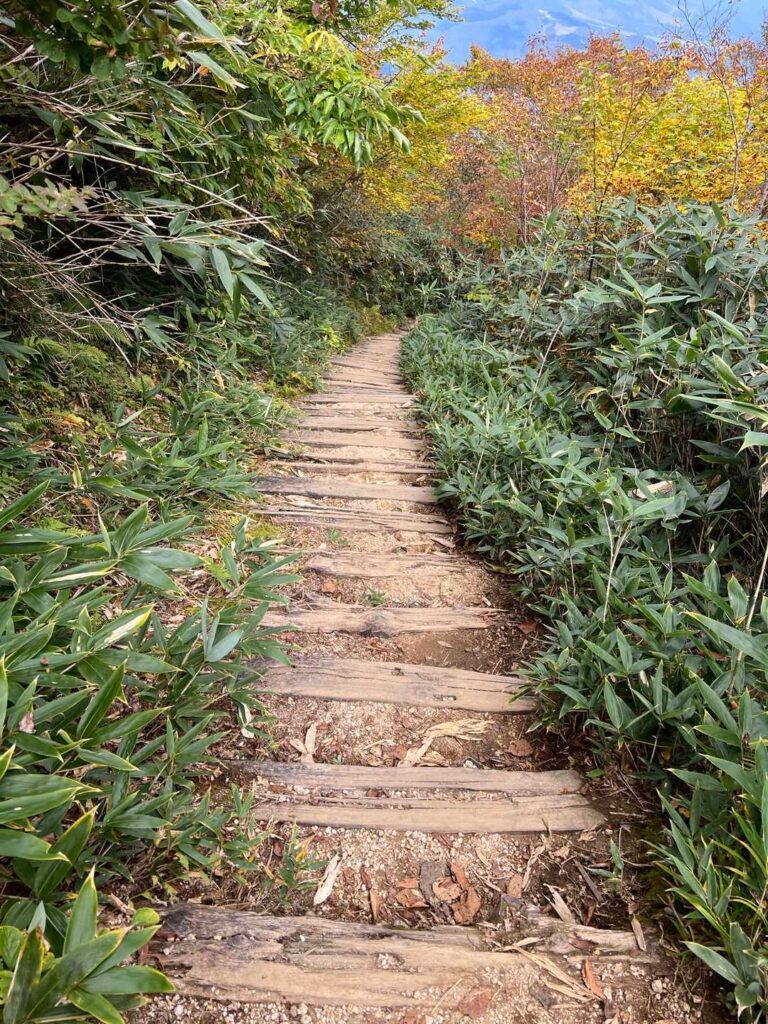 遠見尾根の階段