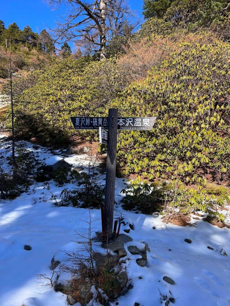 お風呂から上がり 雪も楽しみたくなって こここら 少し上がって見ることに