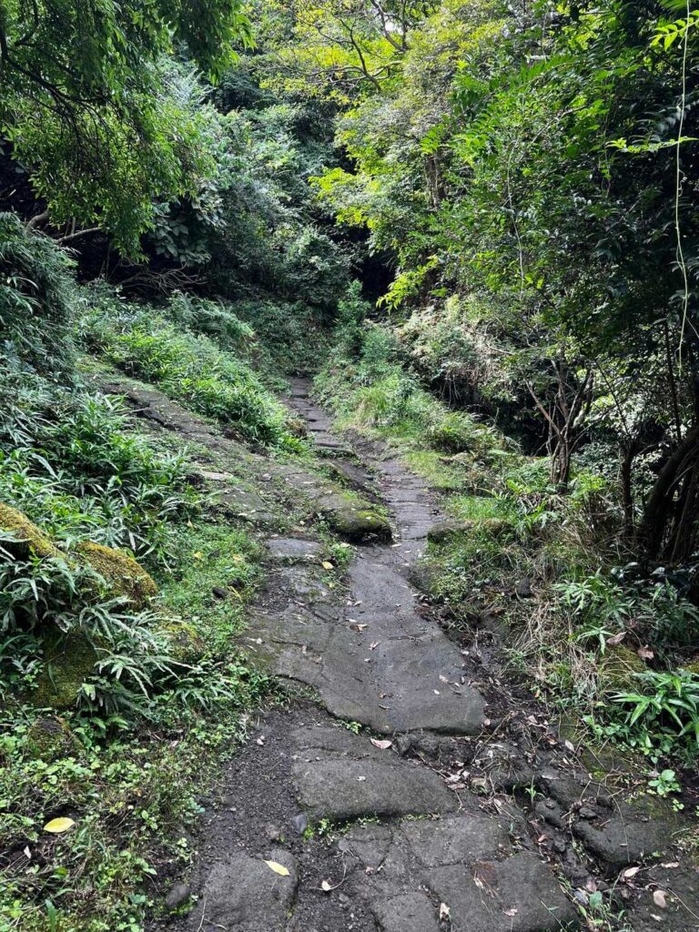 この辺りから本格的な山道に