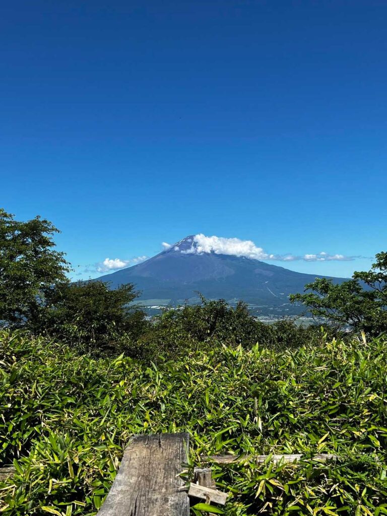 途中に 富士山🗻が見えるスポットも / 今月から山開きしてて 今年は 激混みかなぁ