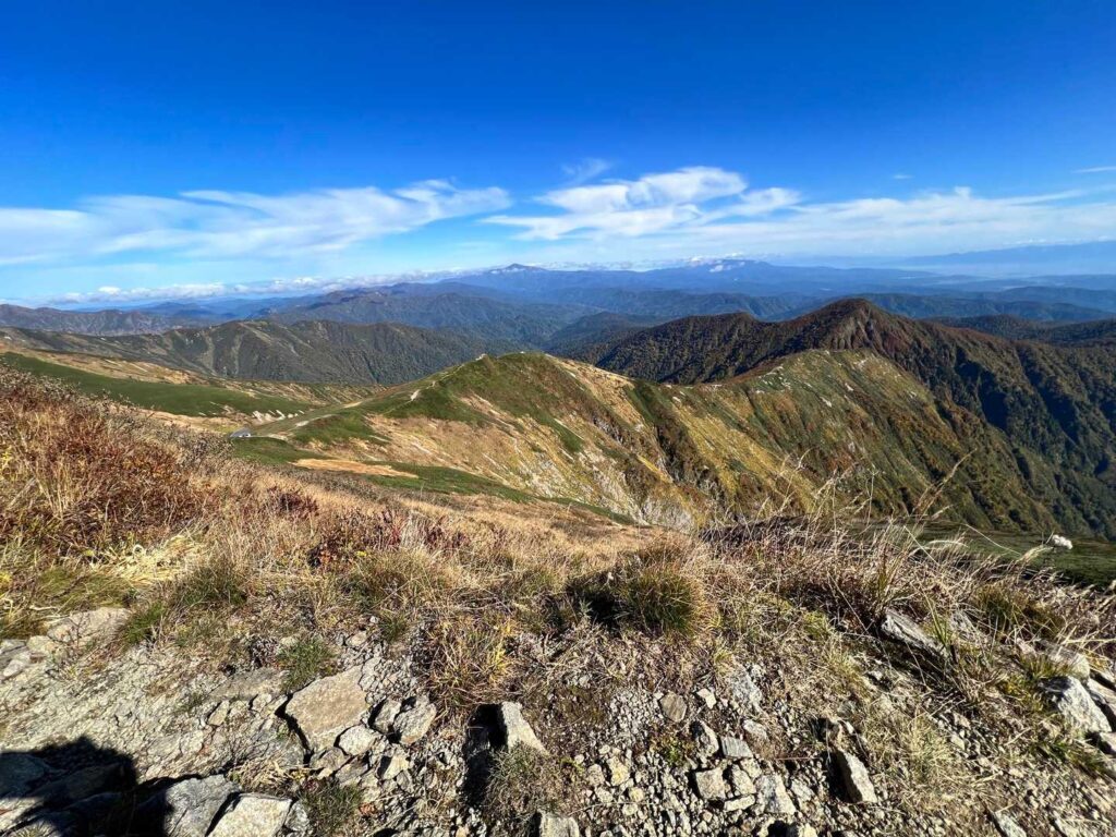 稜線がたまらん