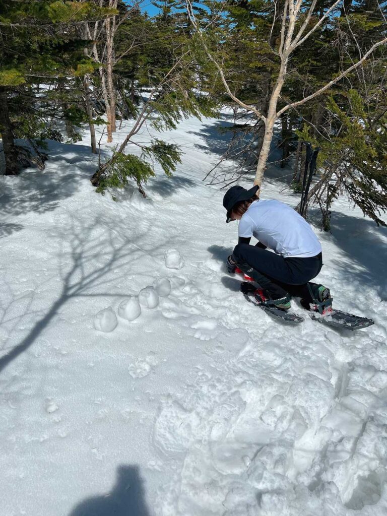 スノーシュー装着中に雪だるまを作る相方