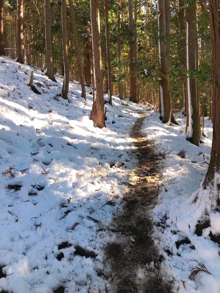 登り序盤の山道