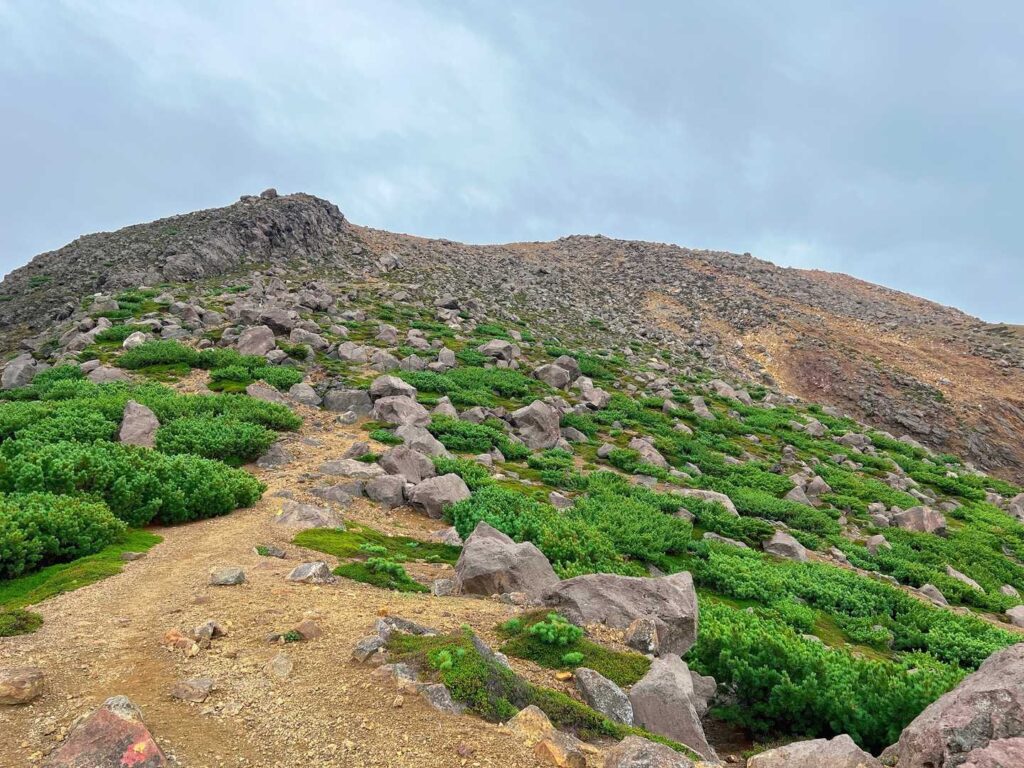 山頂直下の登り