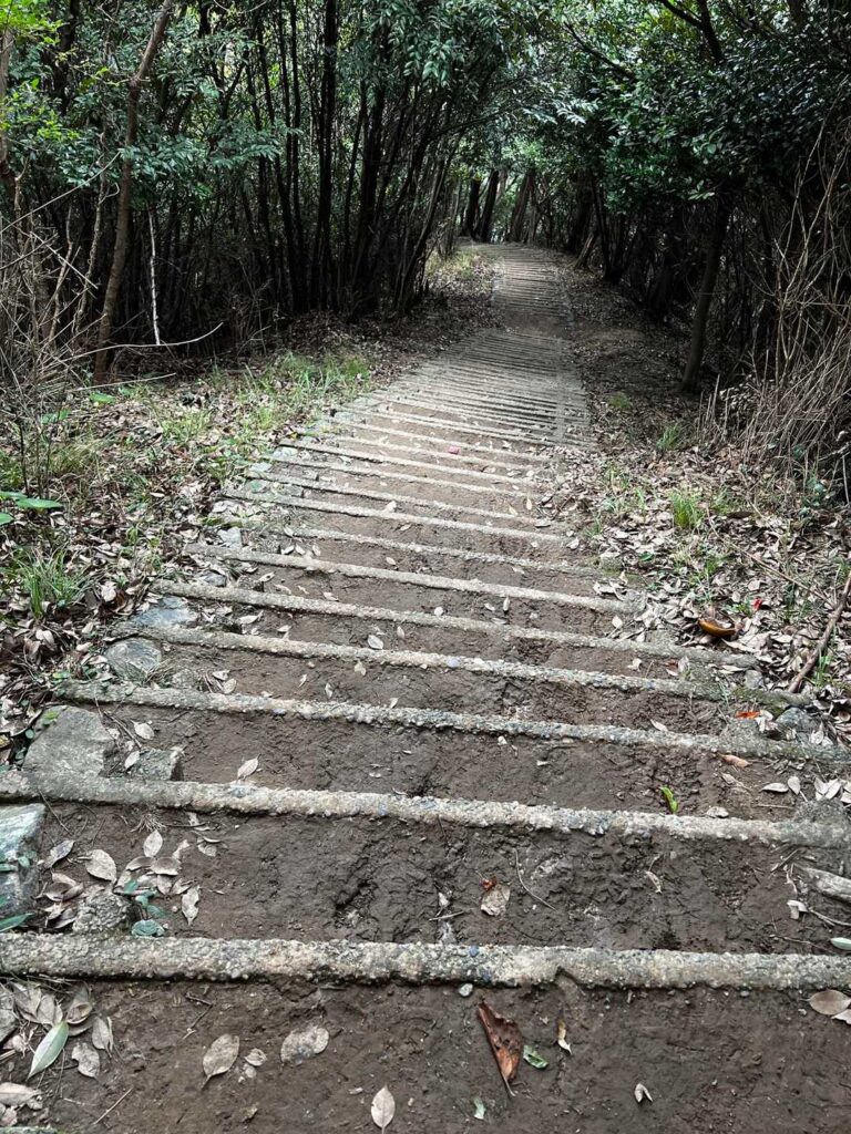 この階段永遠と続きますよ