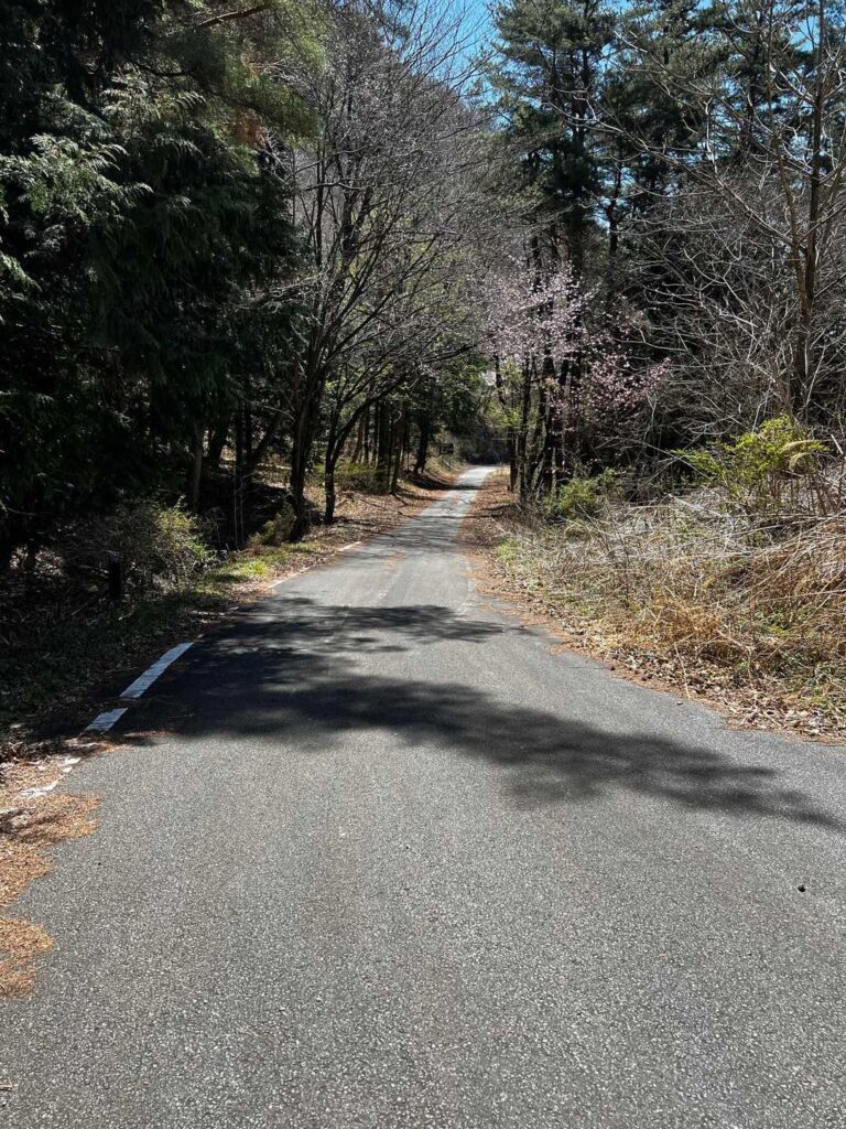 まずは下って 登って …結構長かくて 地味に体力削られら