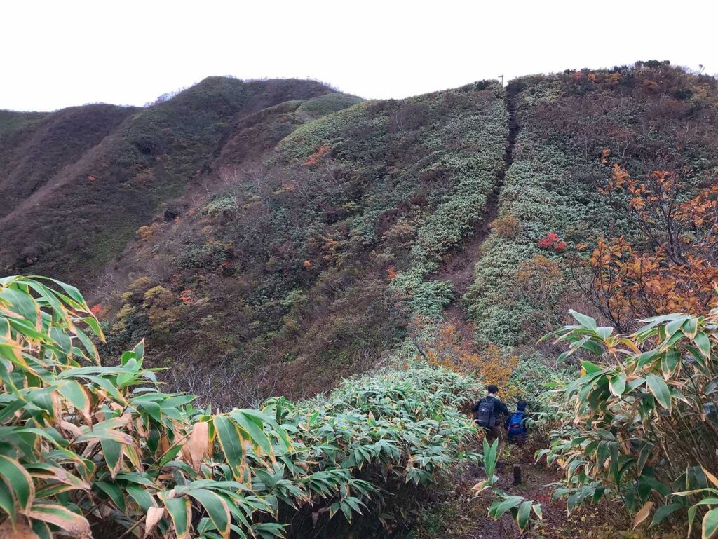 山頂はさらに奥