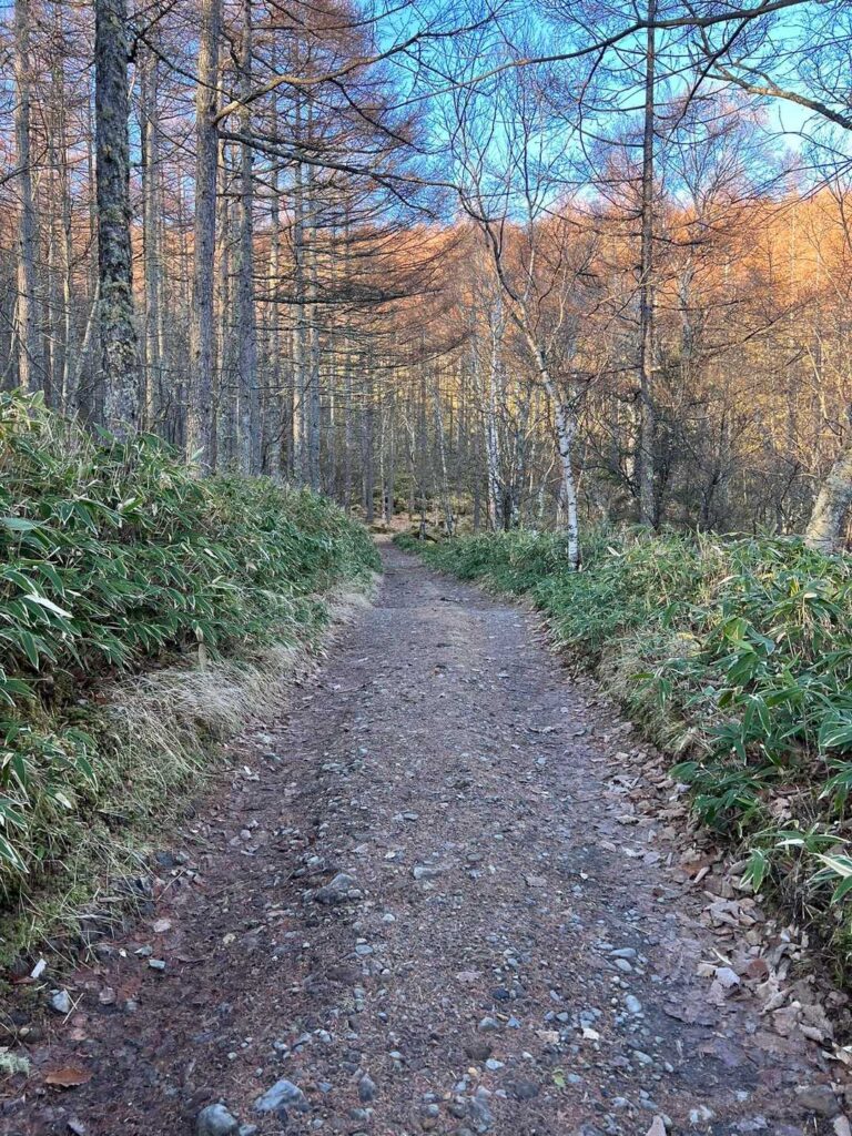 道中の様子（要目視確認）