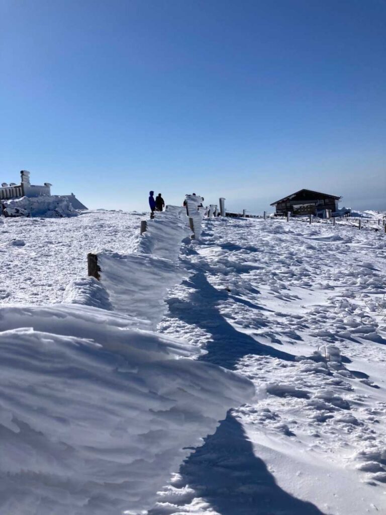 エビの尻尾に覆われた山頂の構造物