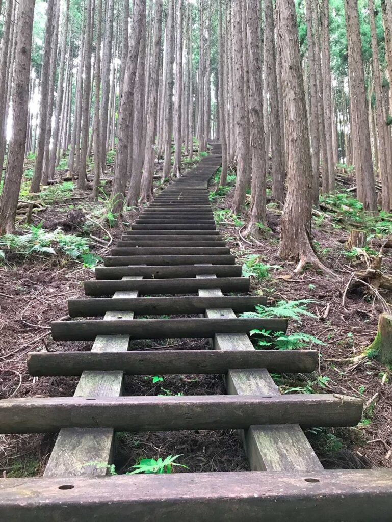 249段の階段…一応数えたけど自信ないっす🤣