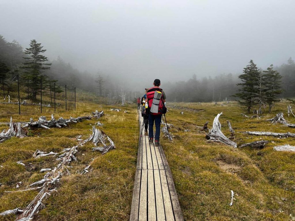 木道が見えてきた