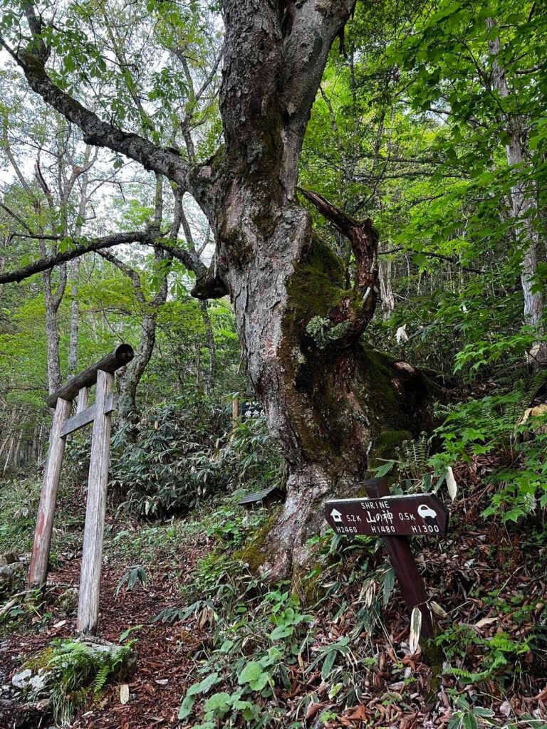 山の神で安全祈願