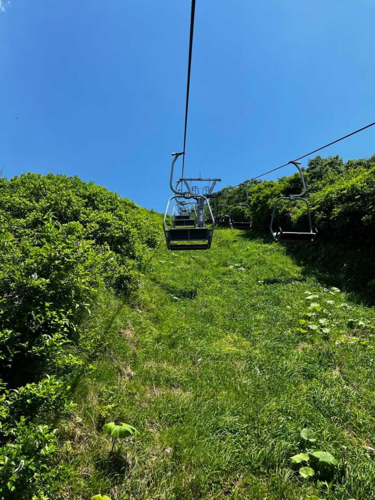 リフトからの眺め