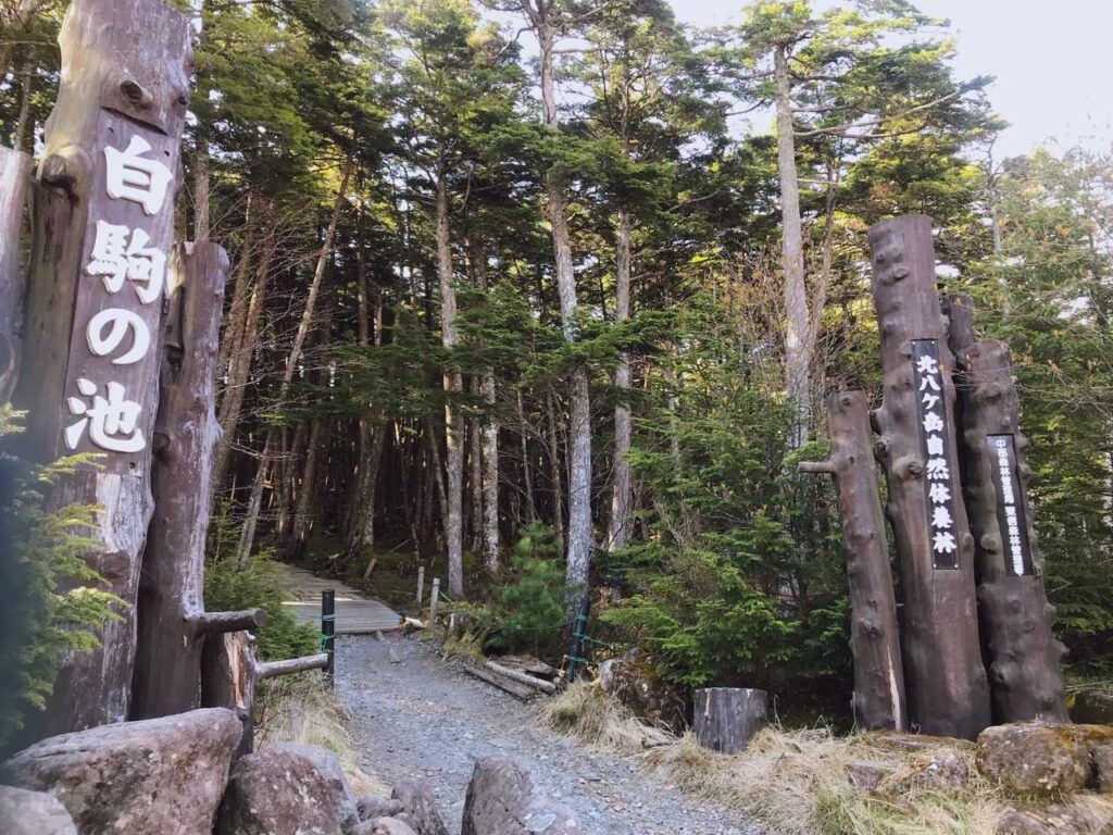 今日はここからスタート