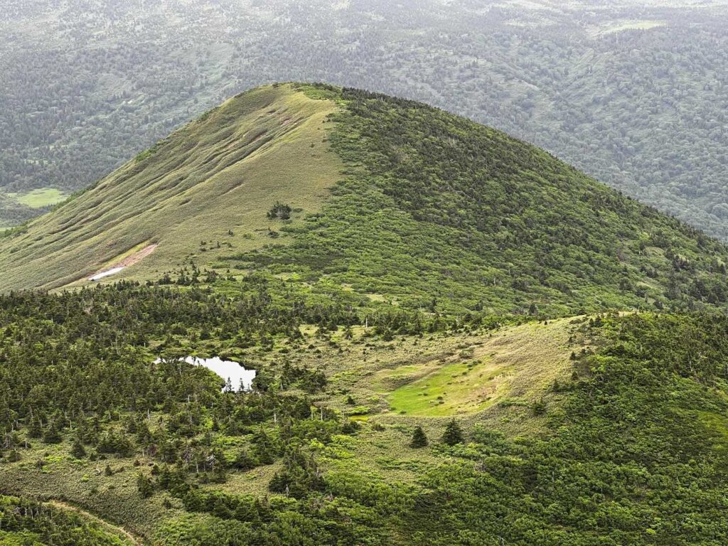左右で雰囲気が異なる風景