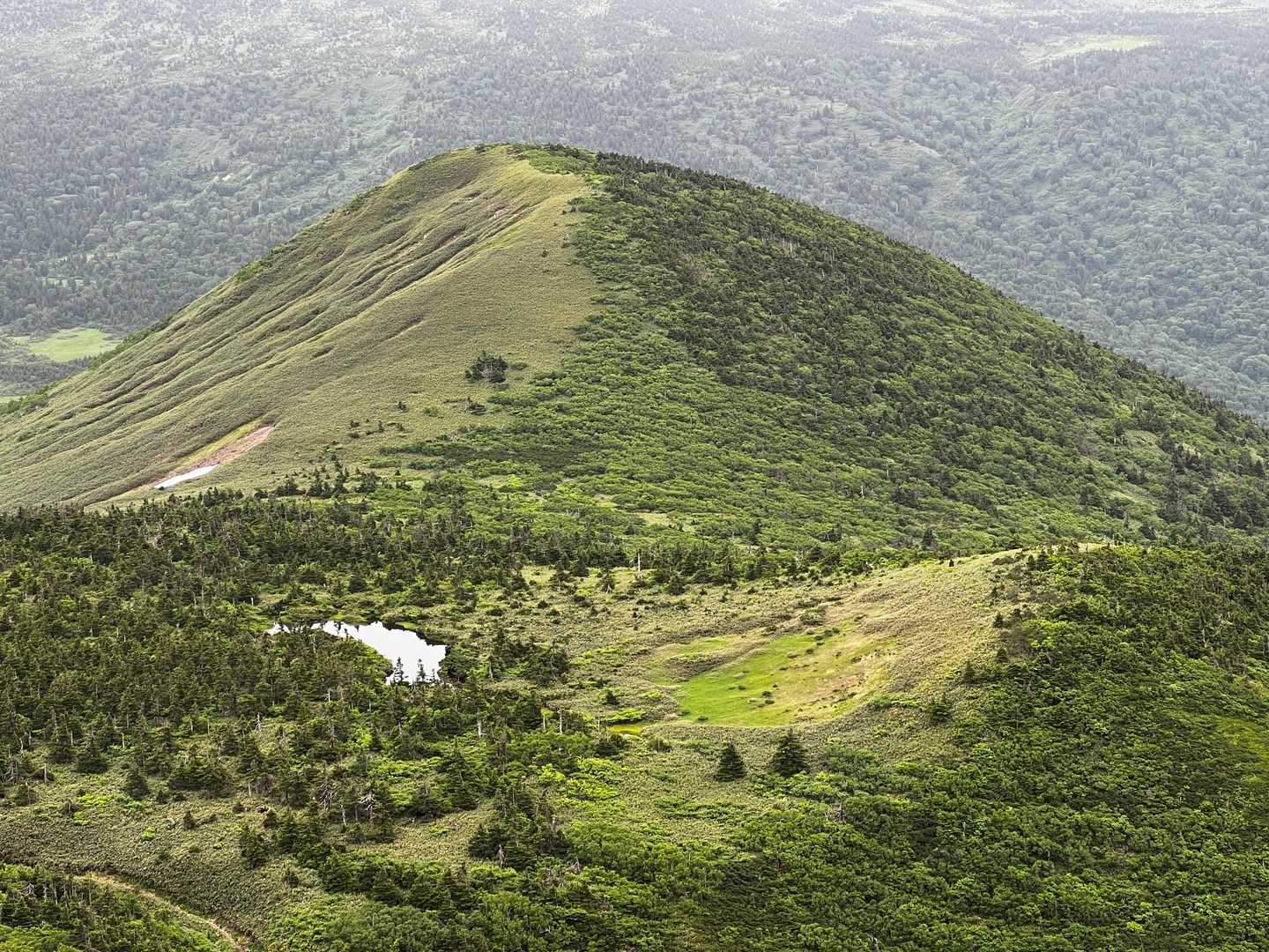 ふと 振り返ると右と左の雰囲気が違う 雪のせいかな