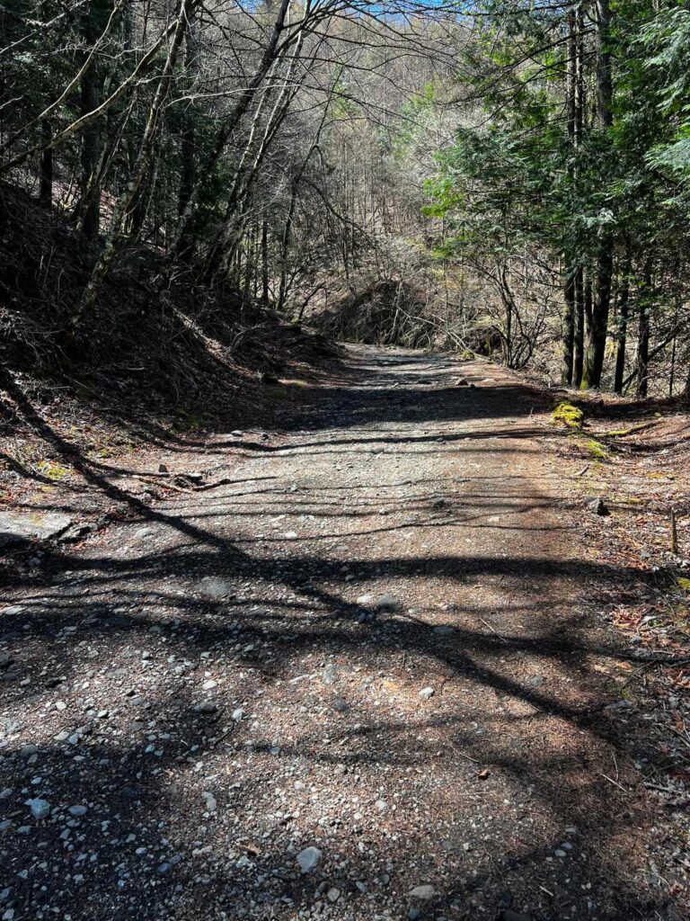 相変わらずこんな感じで