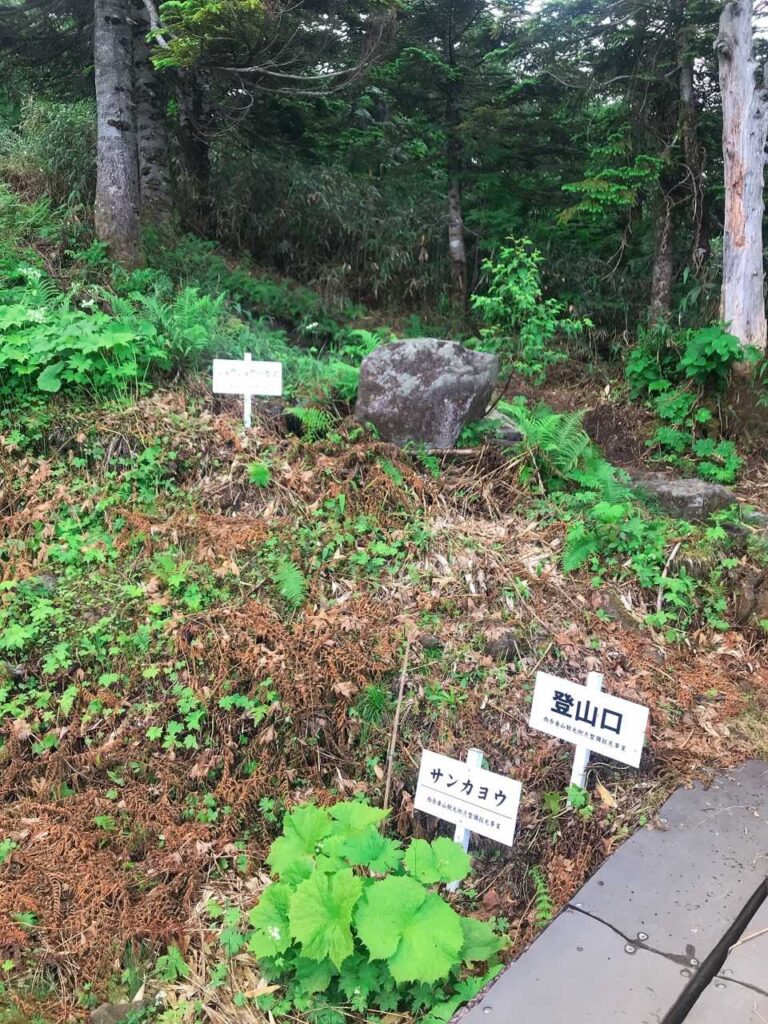 リフト終点の北望台登山口