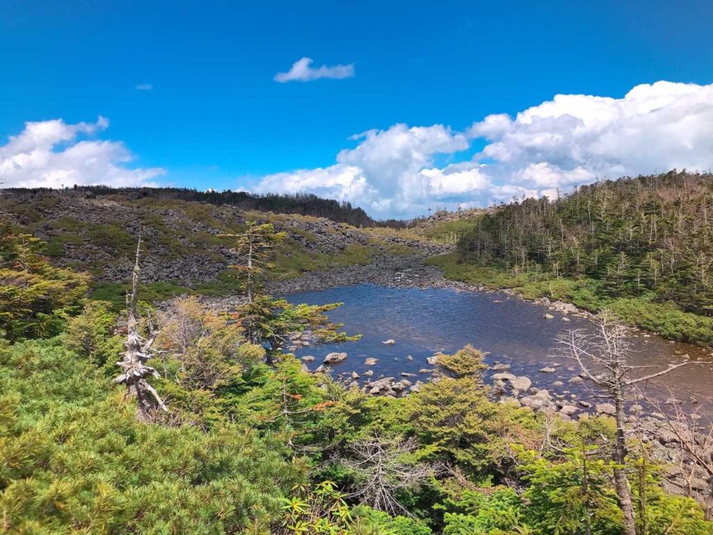 天狗の奥庭の様子