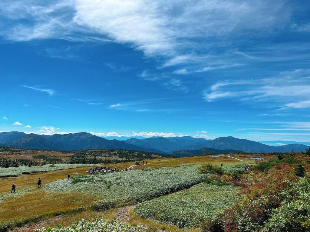 山頂湿原からの絶景