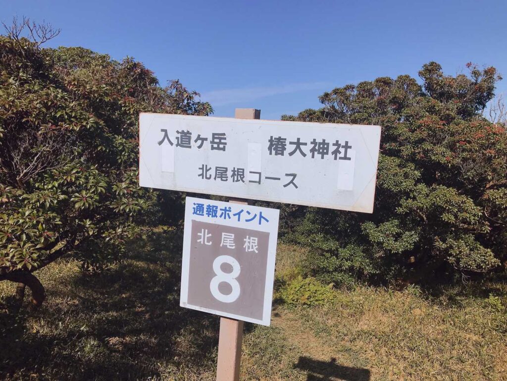 あと少し