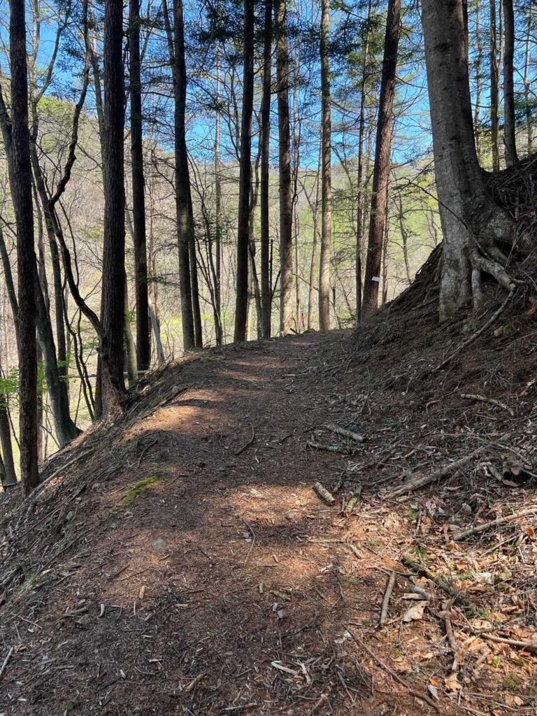 横を抜けて（荒船不動尊を抜けて登山道へ）