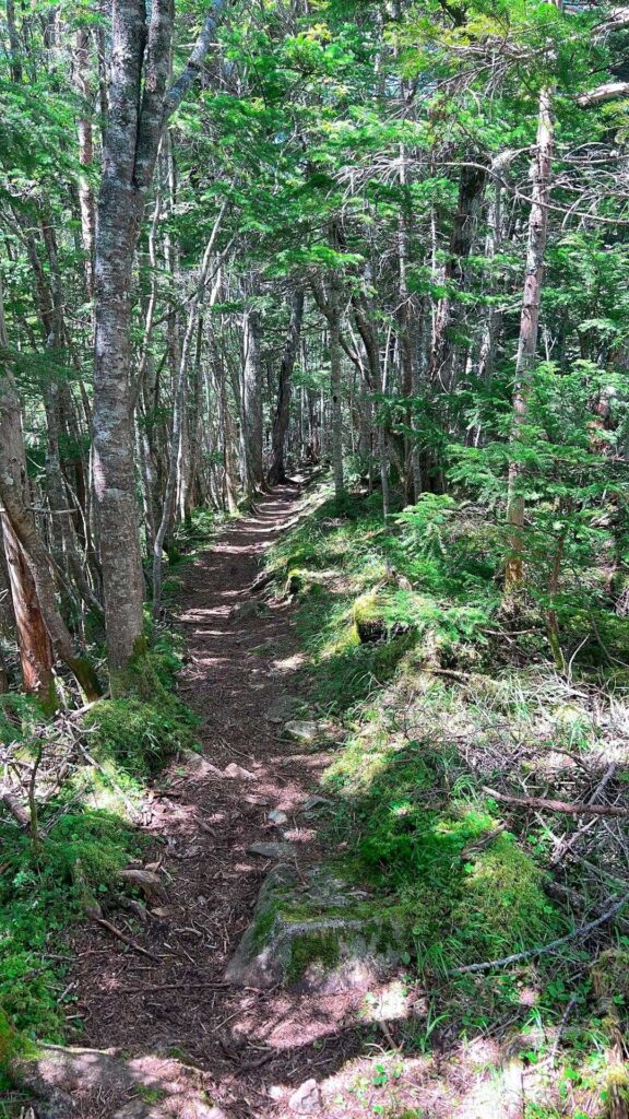 あと30分の標識