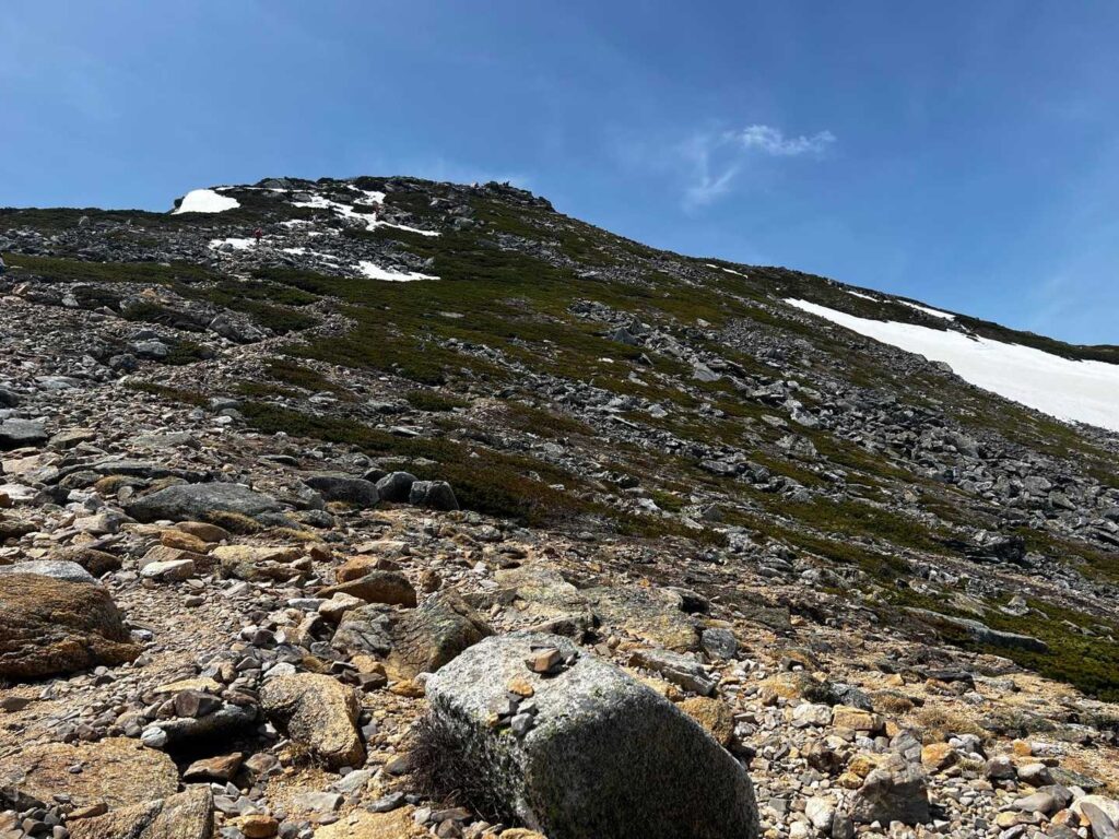 景色を眺めながら雷鳥を探す