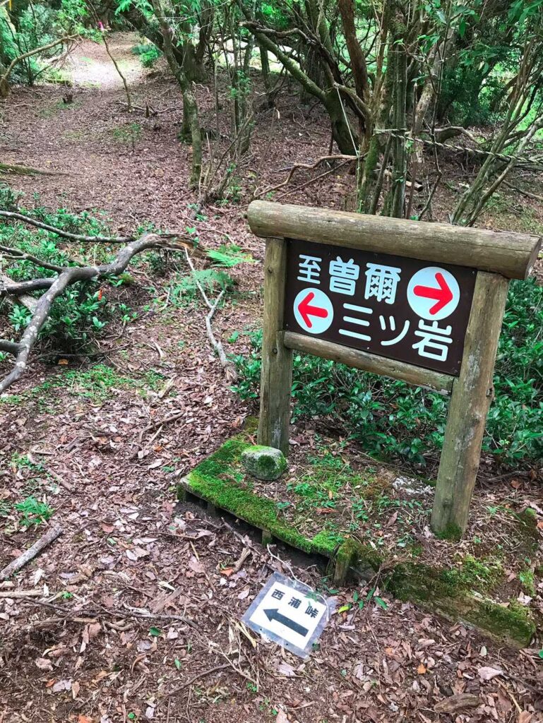 「至 曽爾」「三ツ岩」の分岐看板