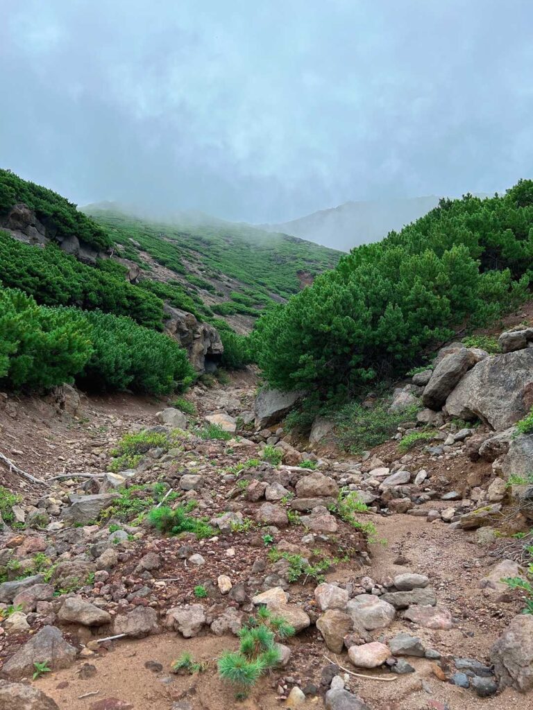 樹林帯を抜けるとガスの中