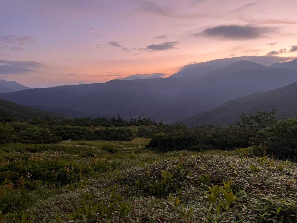 太陽が昇ってきた